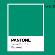 FashionTrends-De kleuren die het jaar 2022 zullen bepalen-Banner FashionTrends-De kleuren die het jaar 2022 zullen bepalen